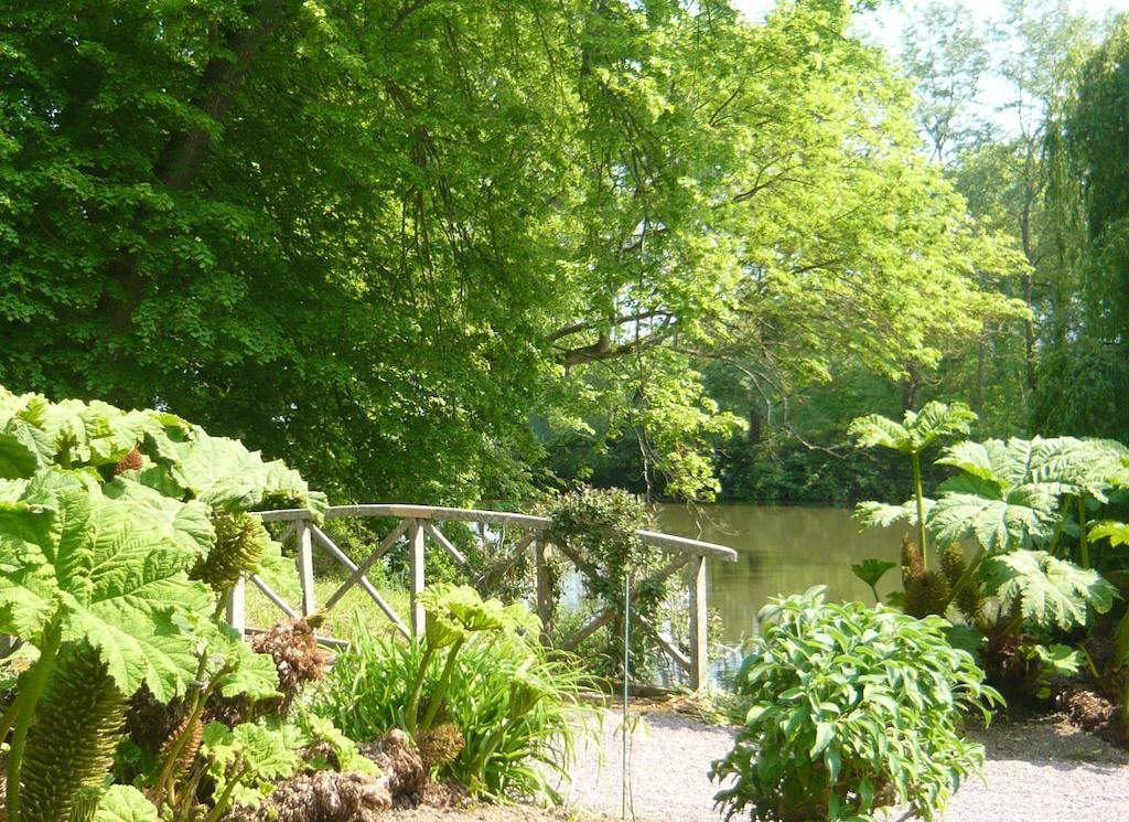 Chateau De Beneauville Bed & Breakfast Petiville  Luaran gambar
